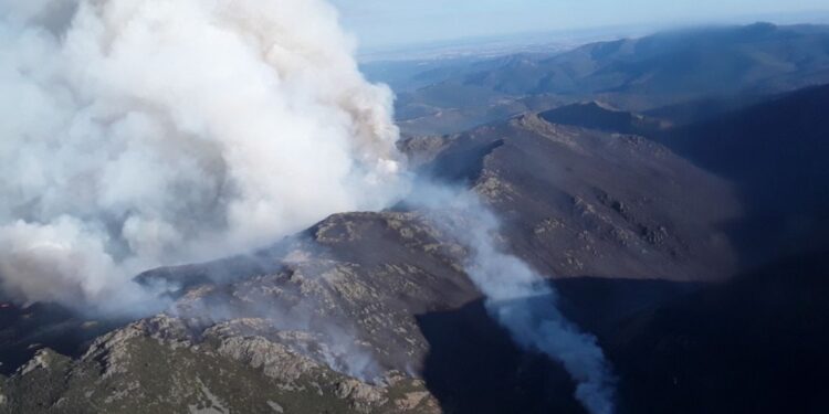 Incendio forestal en Peñalba de la Sierra (Guadalajara) sigue activo tras cinco días y arrasa más de 700 hectáreas