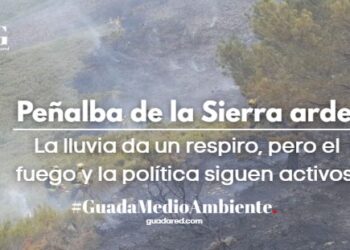 Incendio Peñalba de la Sierra Guadalajara: La lluvia da un respiro pero el fuego y la política siguen activos