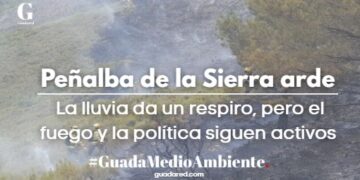 Incendio Peñalba de la Sierra Guadalajara: La lluvia da un respiro pero el fuego y la política siguen activos