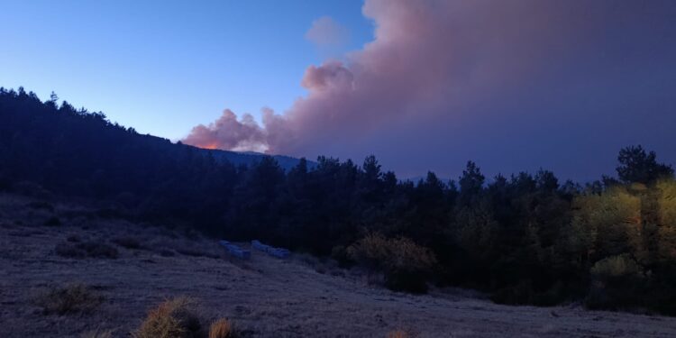 #IFPeñalbaDeLaSierra