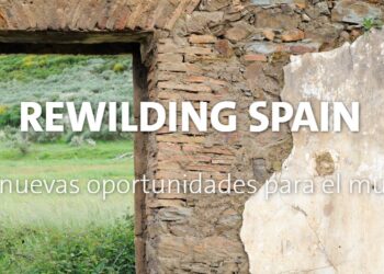 Ayudas de Rewilding Spain para emprendedores rurales y ecoturismo sostenible