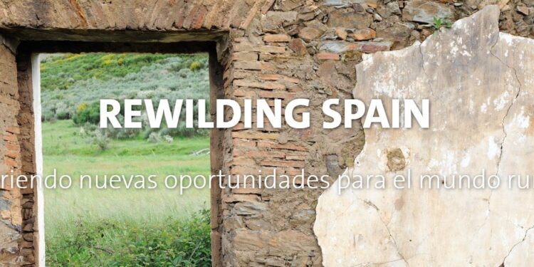 Ayudas de Rewilding Spain para emprendedores rurales y ecoturismo sostenible