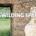 Ayudas de Rewilding Spain para emprendedores rurales y ecoturismo sostenible