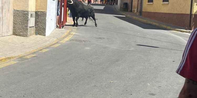 Fiestas de Mesones 2025: toros, tradiciones y diversión hasta el último día