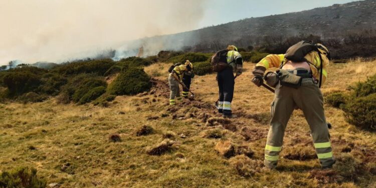 El incendio de Peñalba de la Sierra arrasa 550 hectáreas en el Pico del Lobo y desata críticas por la falta de medios en Guadalajara