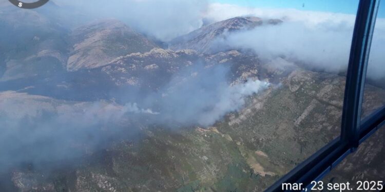 El incendio de Peñalba de la Sierra arrasa 550 hectáreas en el Pico del Lobo y desata críticas por la falta de medios en Guadalajara