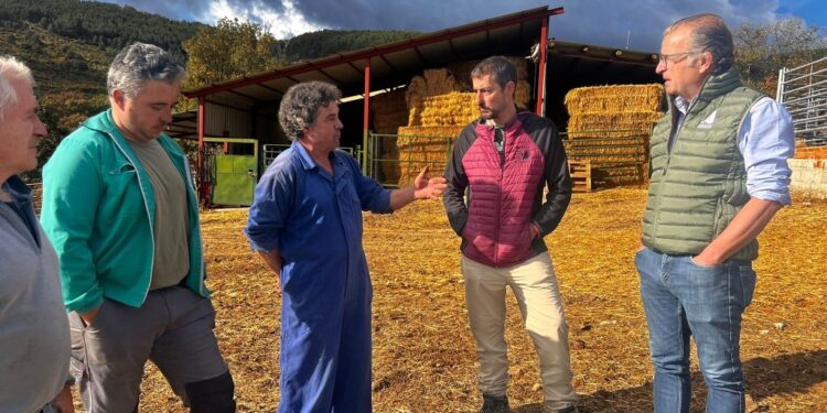 APAG pide ayuda urgente a la Junta para los ganaderos de Peñalba tras el incendio del Pico del Lobo