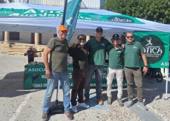 Equinoccio de Otoño en Cogolludo 2025: Gastronomía local y sanidad alimentaria