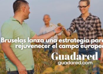 Bruselas lanza una estrategia para rejuvenecer el campo europeo