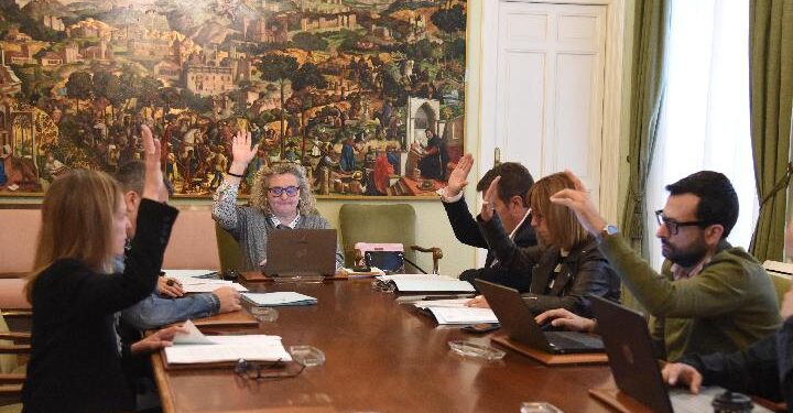 Diputación de Guadalajara invierte 900.000 € en la mejora de caminos rurales de 54 pueblos en 2025