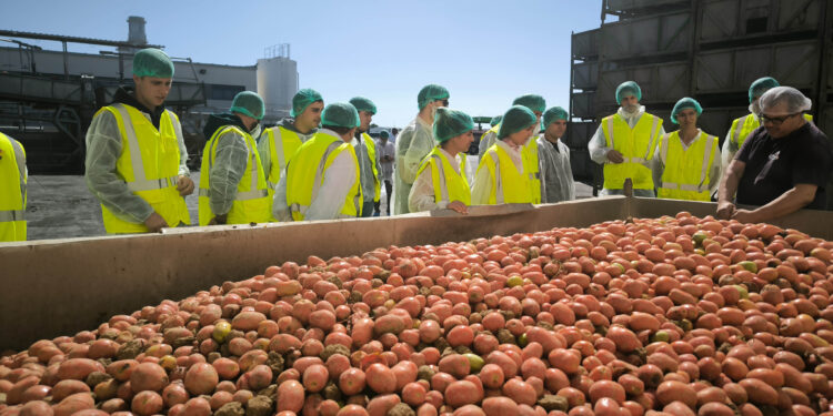 Jóvenes agricultores visitan Grupo AN en Navarra para conocer la transformación de hortalizas