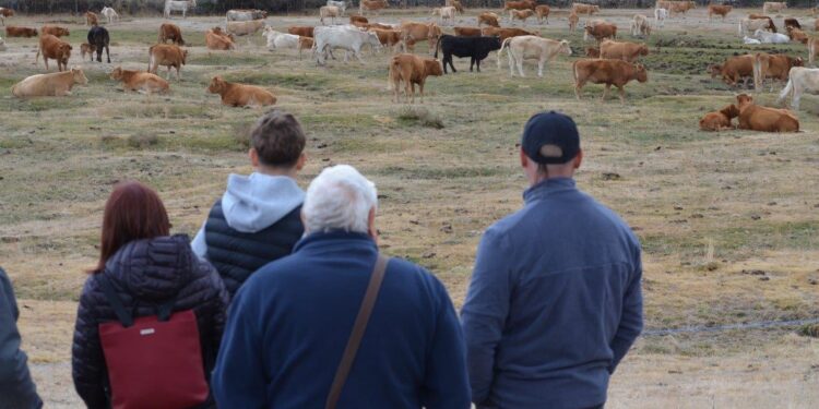 APAG refuerza su apoyo a la Feria de Ganado de Cantalojas y promociona la ternera de la Sierra Norte de Guadalajara