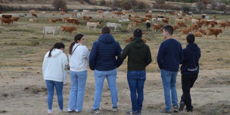 APAG refuerza su apoyo a la Feria de Ganado de Cantalojas y promociona la ternera de la Sierra Norte de Guadalajara