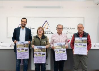 Feria del Ganado de Cantalojas 2025: programa, actividades y apoyo de la Diputación de Guadalajara