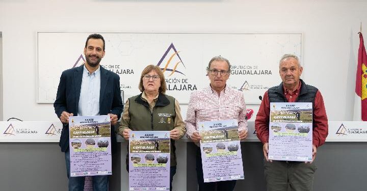 Feria del Ganado de Cantalojas 2025: programa, actividades y apoyo de la Diputación de Guadalajara