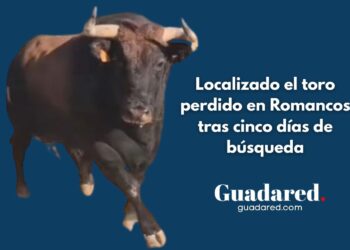 Localizado el toro perdido en Romancos tras cinco días de búsqueda