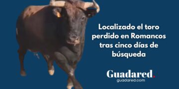 Localizado el toro perdido en Romancos tras cinco días de búsqueda