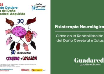 La Fisioterapia Neurológica: Clave en la Rehabilitación del Daño Cerebral e Ictus