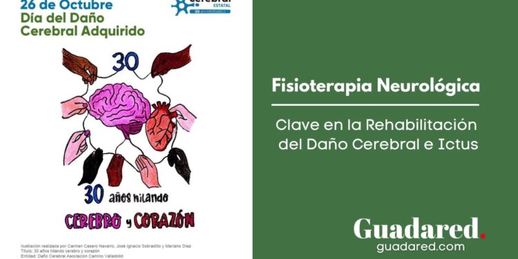 La Fisioterapia Neurológica: Clave en la Rehabilitación del Daño Cerebral e Ictus