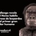 Un hallazgo revela que el Homo habilis fue presa de leopardos y no el primer gran cazador humano