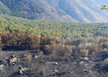 Castilla-La Mancha renueva el seguro de accidentes de INFOCAM y GEACAM con cobertura de hasta 436.000 €