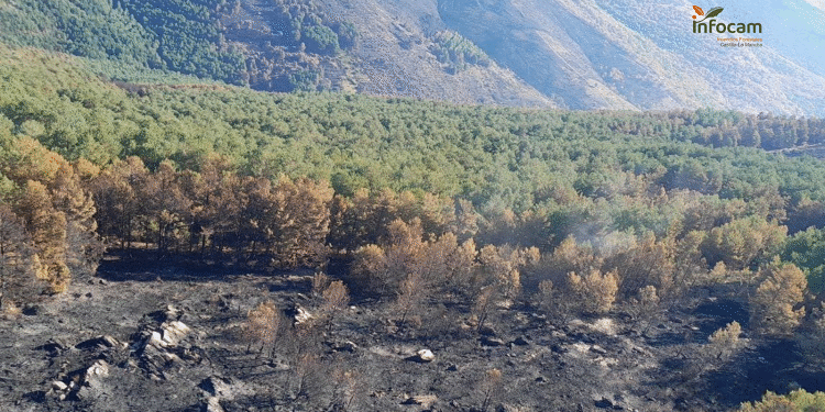 Castilla-La Mancha renueva el seguro de accidentes de INFOCAM y GEACAM con cobertura de hasta 436.000 €