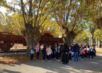 Museos Vivos en la Sierra Norte de Guadalajara: visitas educativas para escolares 2025