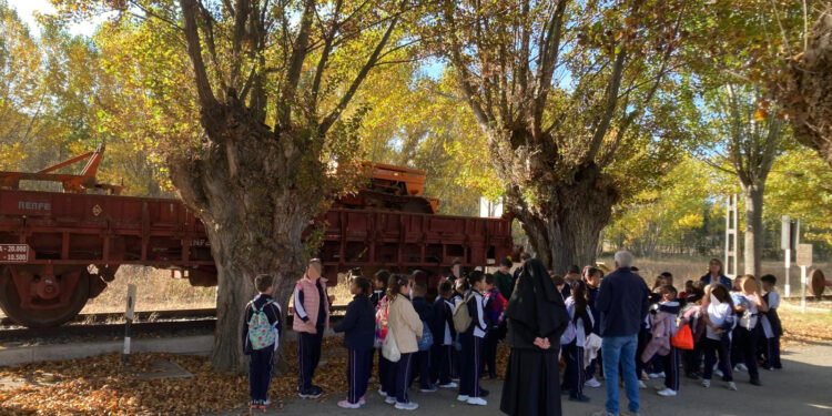 Museos Vivos en la Sierra Norte de Guadalajara: visitas educativas para escolares 2025