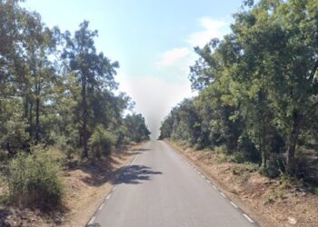 Inversión de 1,3 millones en Guadalajara para asfaltar cinco caminos rurales clave