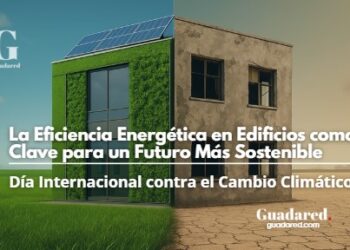 https://guadared.com/dia-internacional-contra-el-cambio-climatico-la-eficiencia-energetica-como-clave-para-un-futuro-mas-sostenible/