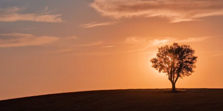 Diez fotografías de Castilla-La Mancha, finalistas en el certamen nacional de Instagram “Mi Rincón Favorito” 2025