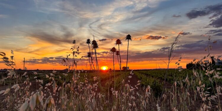 Diez fotografías de Castilla-La Mancha, finalistas en el certamen nacional de Instagram “Mi Rincón Favorito” 2025