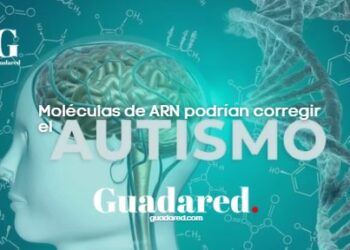 Descubren moléculas de ARN que podrían corregir alteraciones genéticas en el autismo: avance para futuras terapias moleculares