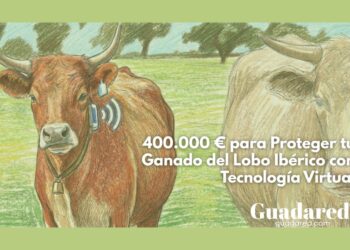 400.000 € para Proteger tu Ganado del Lobo Ibérico con Tecnología Virtual