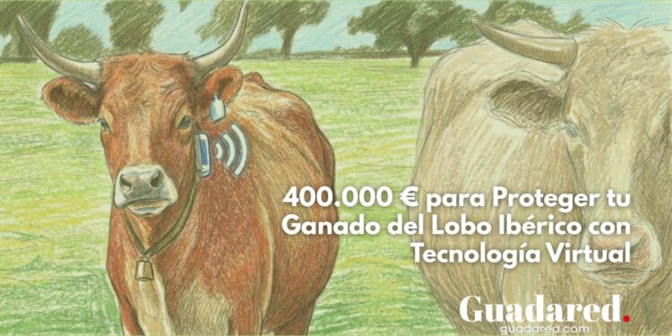 400.000 € para Proteger tu Ganado del Lobo Ibérico con Tecnología Virtual