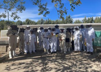 IV Encuentro del Panel Nacional de Catadores de Miel y Reunión del Consorcio Better-B en Toledo para Valorar Mieles y Mejorar la Resiliencia de las Abejas