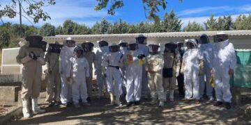 IV Encuentro del Panel Nacional de Catadores de Miel y Reunión del Consorcio Better-B en Toledo para Valorar Mieles y Mejorar la Resiliencia de las Abejas