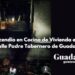 Incendio en Cocina de Vivienda en Calle Padre Tabernero de Guadalajara: Rápida Intervención de Bomberos