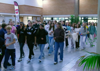 Infancine y Juvencine regresan a Guadalajara con el apoyo de la Diputación Provincial, cine educativo para jóvenes y familias