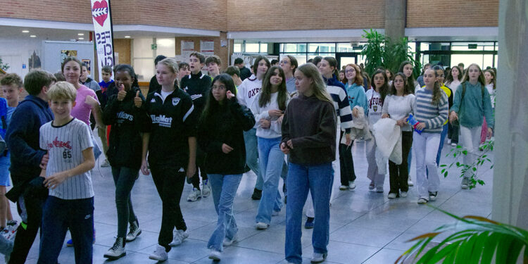 Infancine y Juvencine regresan a Guadalajara con el apoyo de la Diputación Provincial, cine educativo para jóvenes y familias