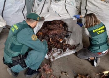 La Guardia Civil Desarticula un Grupo Criminal por Robo de Cable Telefónico en Madrid y Guadalajara