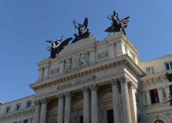 El Ministerio de Agricultura destina 27,8 millones en ayudas directas a agricultores y ganaderos afectados por los incendios forestales