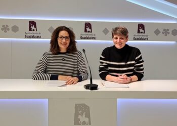 AIKE denuncia la inacción del Gobierno de Ana Guarinos en la activación de los Consejos Sectoriales de Participación Ciudadana