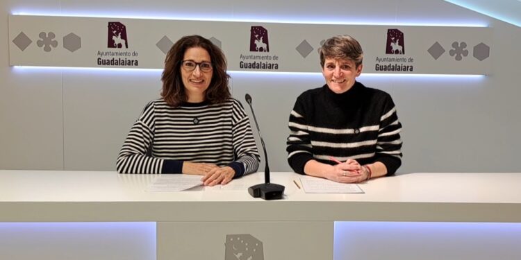 AIKE denuncia la inacción del Gobierno de Ana Guarinos en la activación de los Consejos Sectoriales de Participación Ciudadana