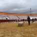 Seminario de Pastoreo en Yunquera de Henares: Formación sobre Manejo de Ganado y Trabajo con Perros Pastores