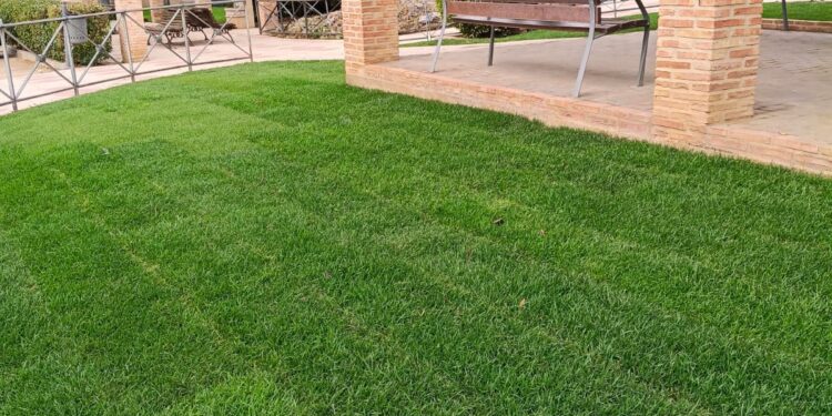 Mejoras en el Cementerio Municipal de Chiloeches para el Día de Todos los Santos: Inversión de 65.770€