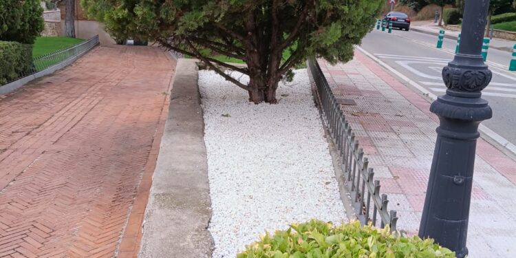 Mejoras en el Cementerio Municipal de Chiloeches para el Día de Todos los Santos: Inversión de 65.770€