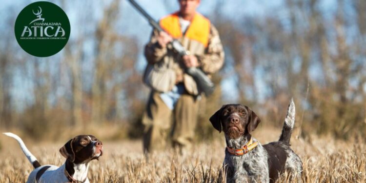 ATICA destaca datos oficiales que desmienten la relación entre la caza y el abandono animal en España