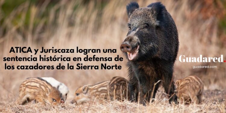 ATICA y Juriscaza logran una sentencia histórica en defensa de los cazadores de la Sierra Norte