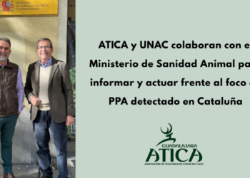 ATICA y UNAC colaboran con el Ministerio de Sanidad Animal para controlar el foco de PPA en Cataluña